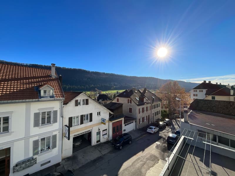 Bel appartement lumineux de 3 pièces avec balcon et ascenseur (6)