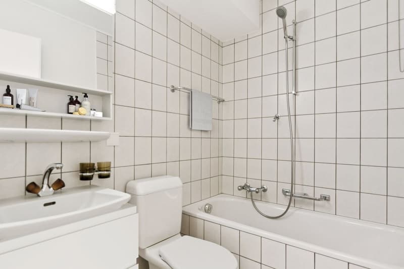 Appartement lumineux de 3 pièces avec grand balcon (3)