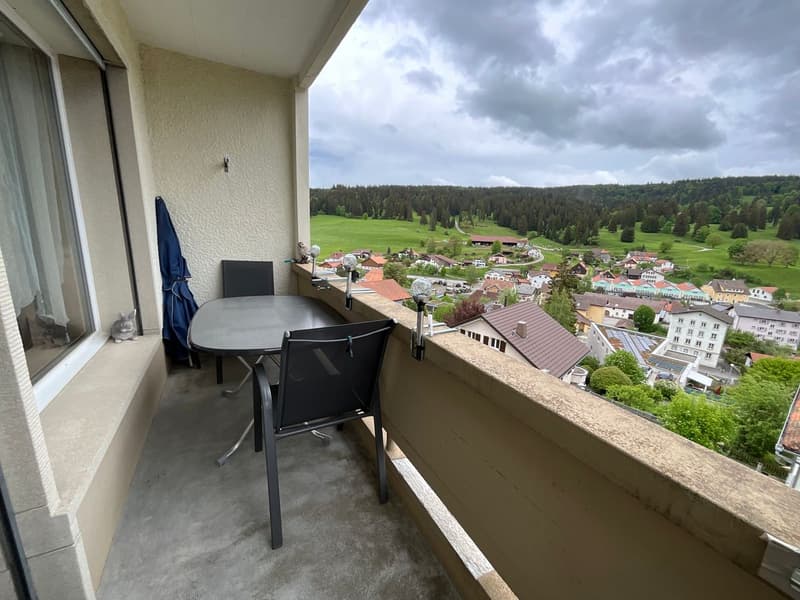 Bel appartement lumineux de 3,5 pièces avec balcon (3)