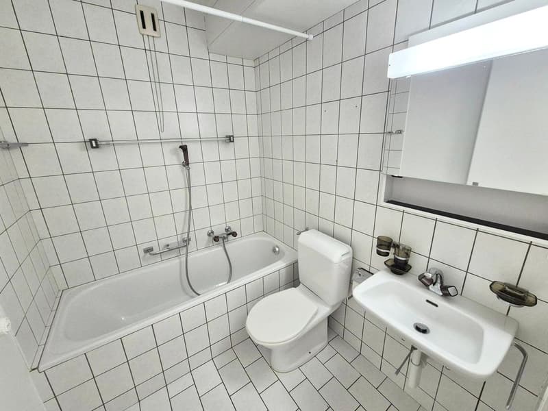 Appartement de 2 pièces avec grand balcon et ascenseur! (3)