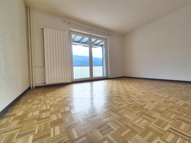 Appartement de 2 pièces avec grand balcon et ascenseur! (1)