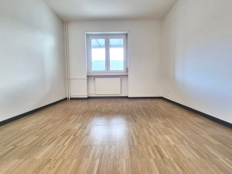 Appartement de 2 pièces avec grand balcon et ascenseur! (2)