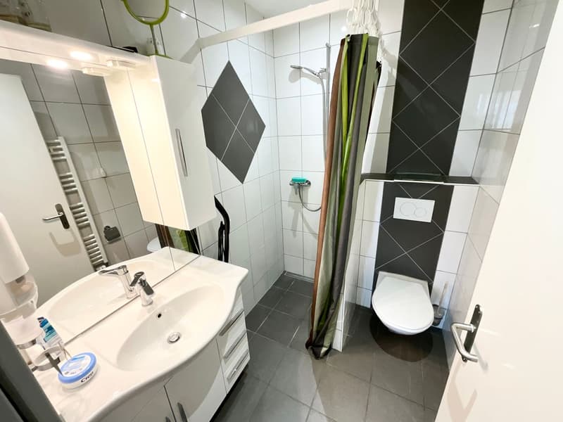 Super appartement de 2 pièces (4)