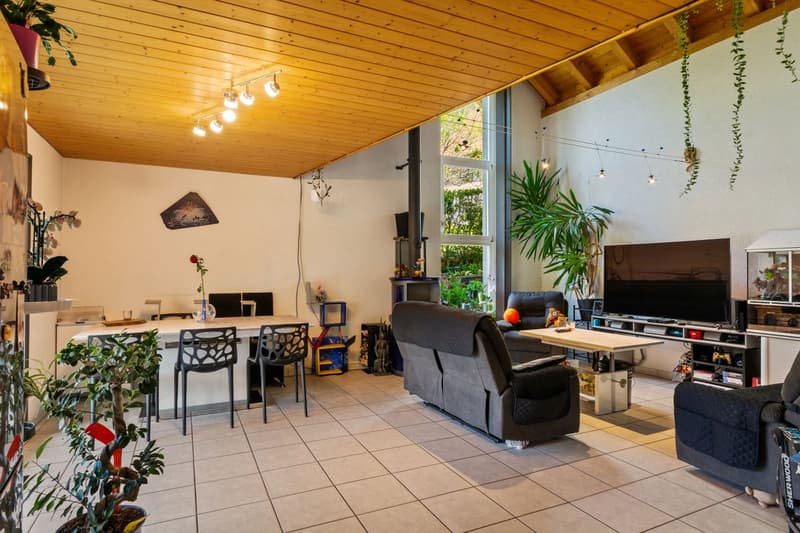 Charmante maison individuelle avec grand jardin et vue dégagée (9)