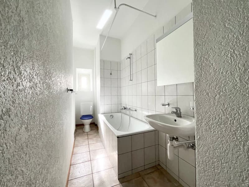 Appartement de 3 pièces avec 1 grand balcon (8)