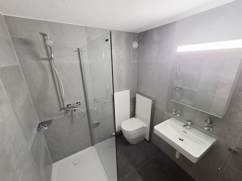 Appartement 2½ pièces entièrement rénové à Montfaucon (7)