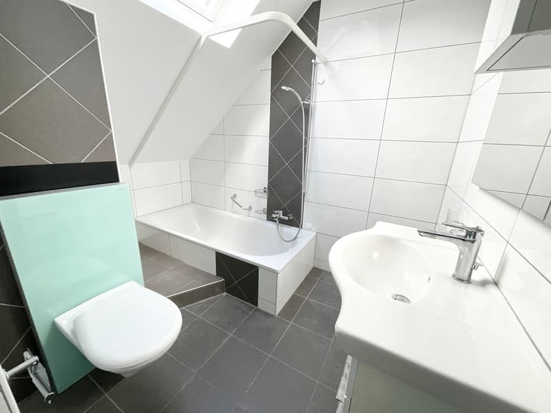 Charmant appartement de 3 pièces avec cheminée et balcon plein sud (4)