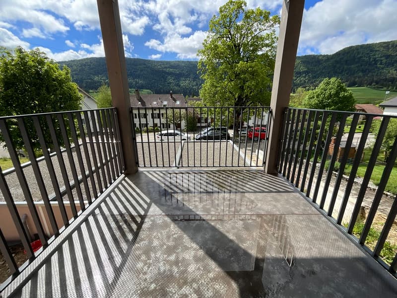 Appartement rénové de 3 pièces avec terrasse et vue dégagée (4)