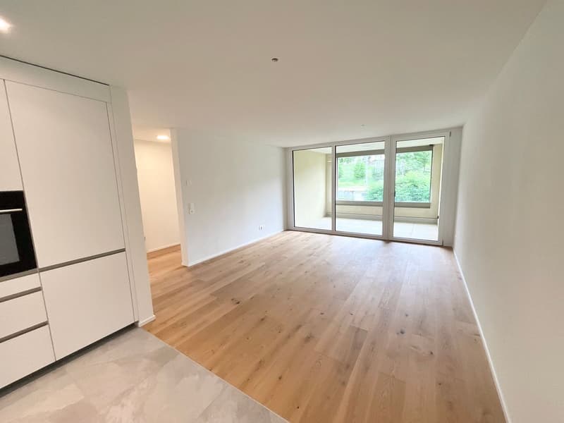 Appartements neufs de 2.5 pièces avec Loggia (2)