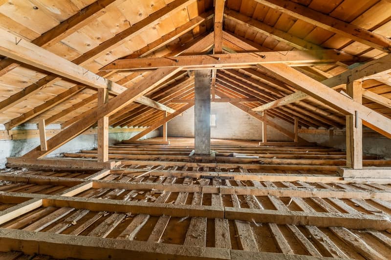 Locaux artisanaux et garages (7)