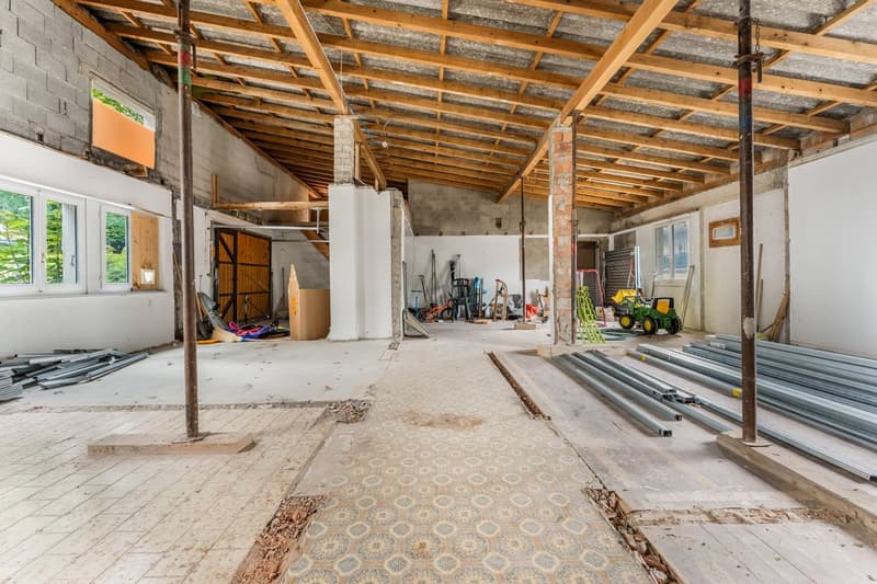 Locaux artisanaux et garages (4)