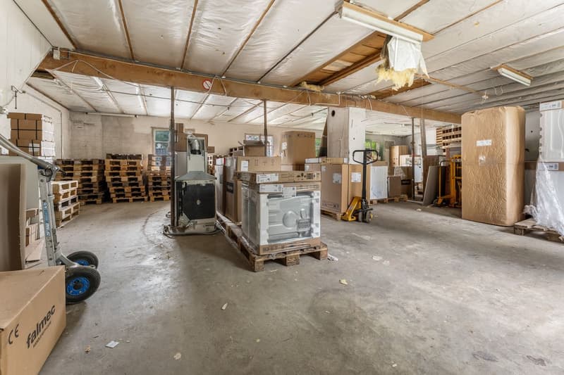Locaux artisanaux et garages (6)