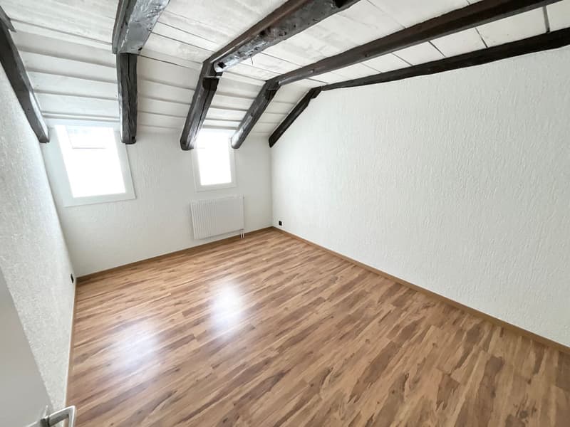 Spacieux appartement de 4,5 pièces rénové (6)