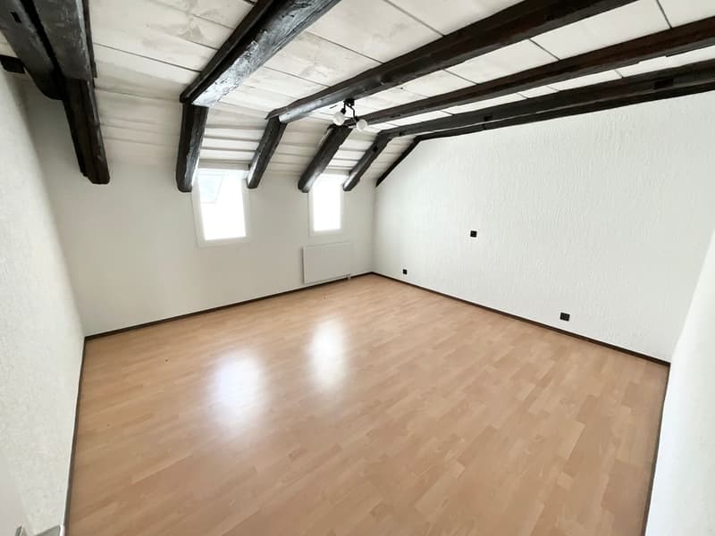 Spacieux appartement de 4,5 pièces rénové (8)