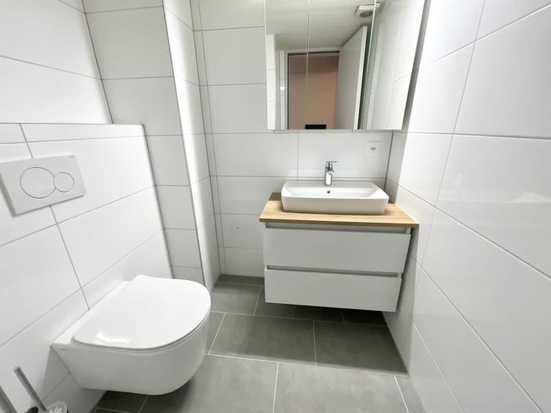 Spacieux appartement de 4,5 pièces rénové (5)