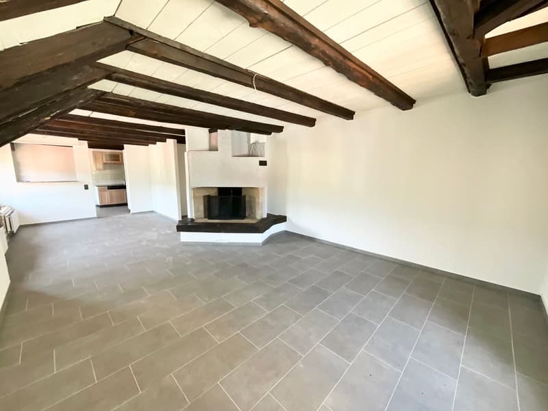 Spacieux appartement de 4,5 pièces rénové (3)