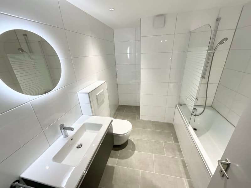 Spacieux appartement de 4,5 pièces rénové (4)