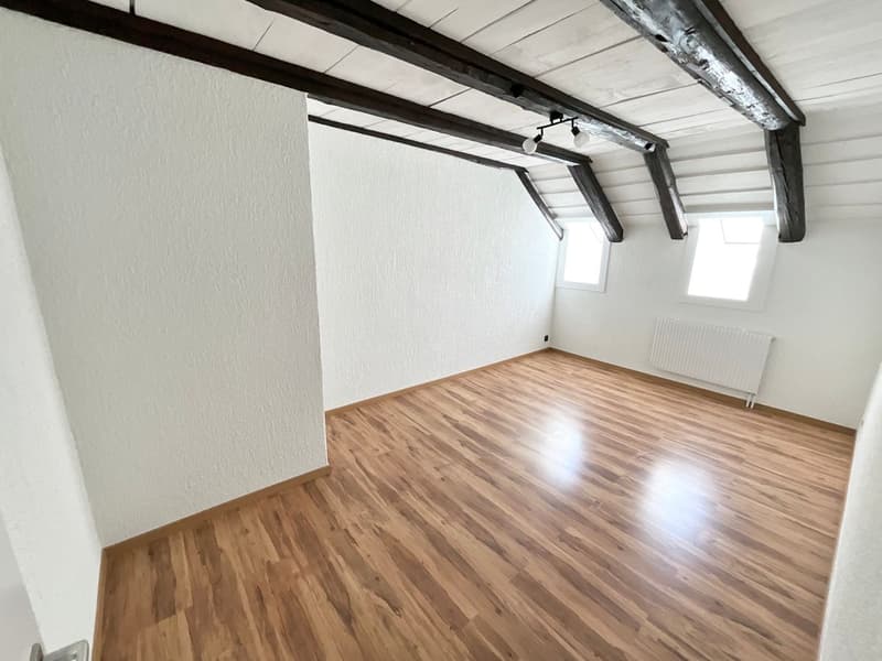 Spacieux appartement de 4,5 pièces rénové (7)