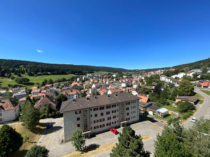 Lumineux appartement de 3 pièces avec vue panoramique (4)