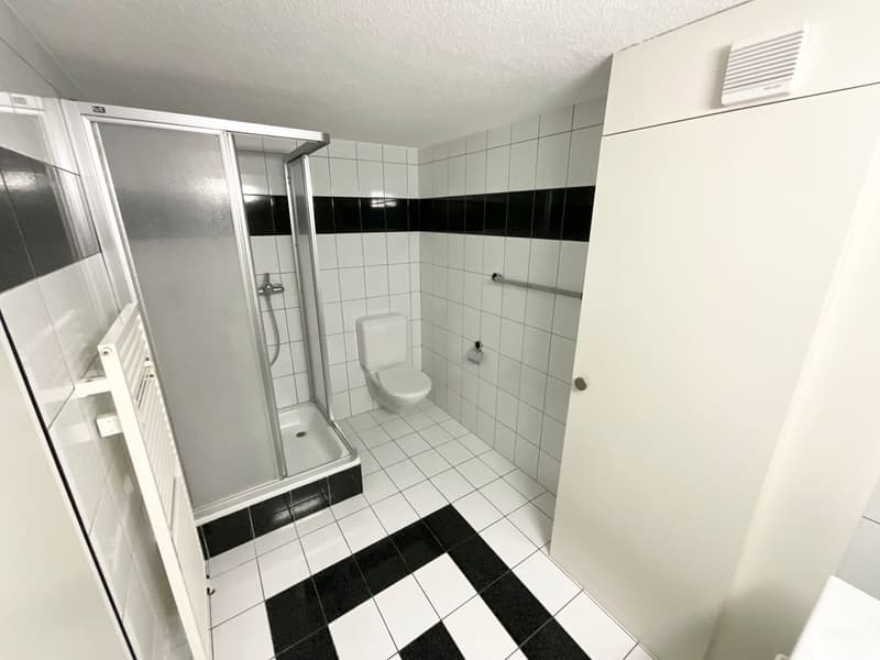 Appartement de 5.5 pièces en duplex avec balcon (7)