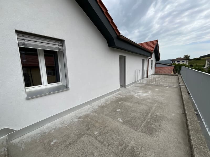 Appartement de 3 pièces neuf avec grande terrasse (7)