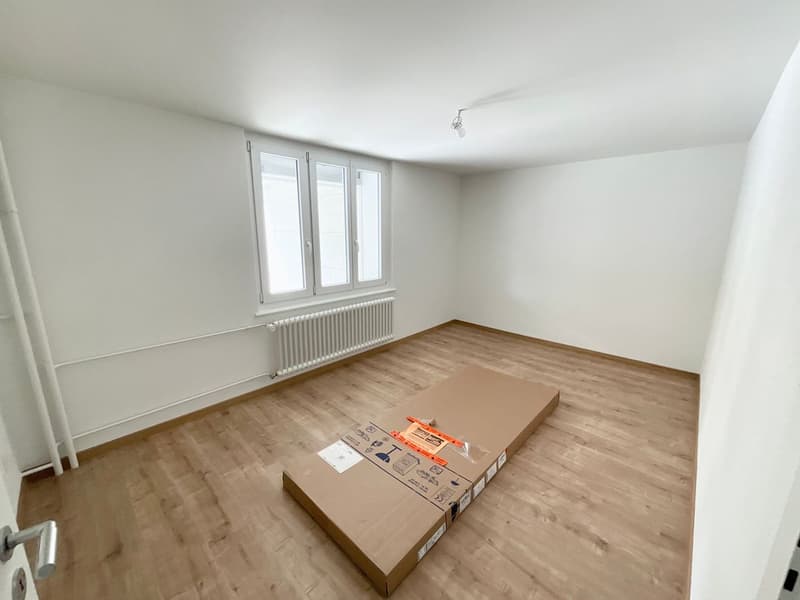 Appartement rénové de 3 pièces avec terrasse privée (6)