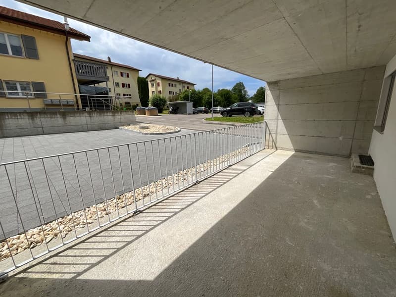 Appartement rénové de 3 pièces avec terrasse privée (8)