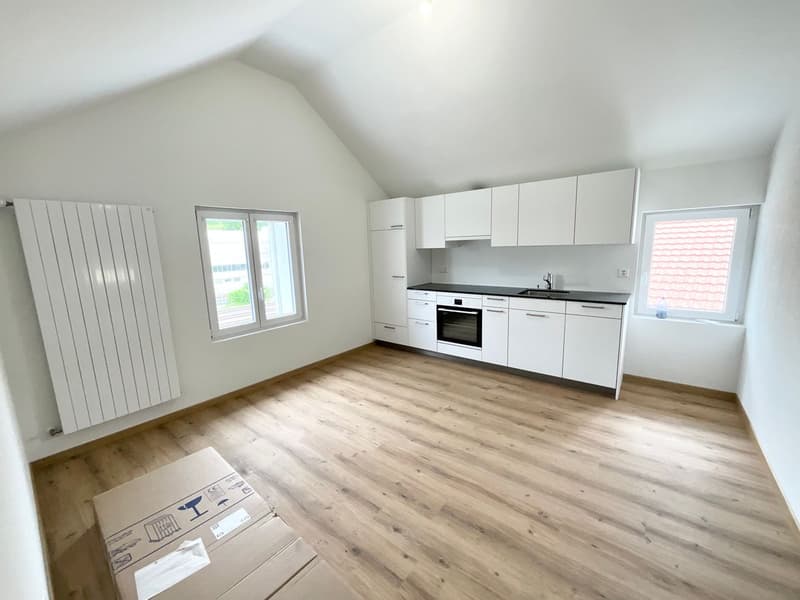 Charmant appartement de 3.5 pièces neuf avec grande terrasse (2)