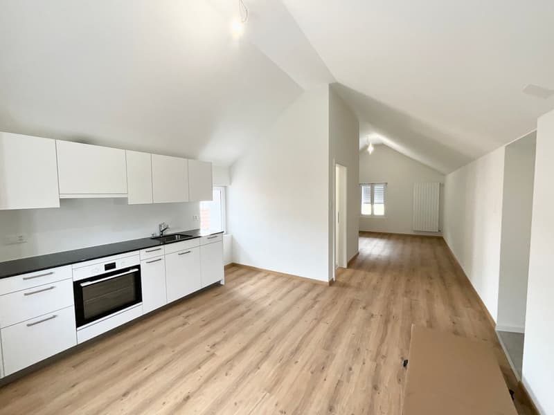 Charmant appartement de 3.5 pièces neuf avec grande terrasse (3)