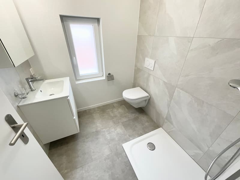 Charmant appartement de 3.5 pièces neuf avec grande terrasse (6)