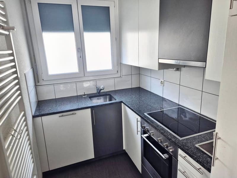Bel appartement de 3 pièces (4)