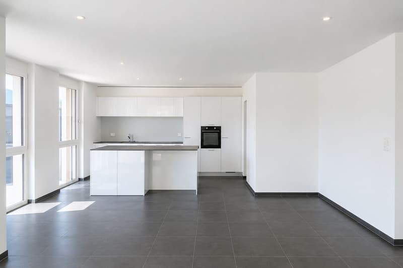 Spacieux appartement de 4.5 pièces avec grande terrasse (1)