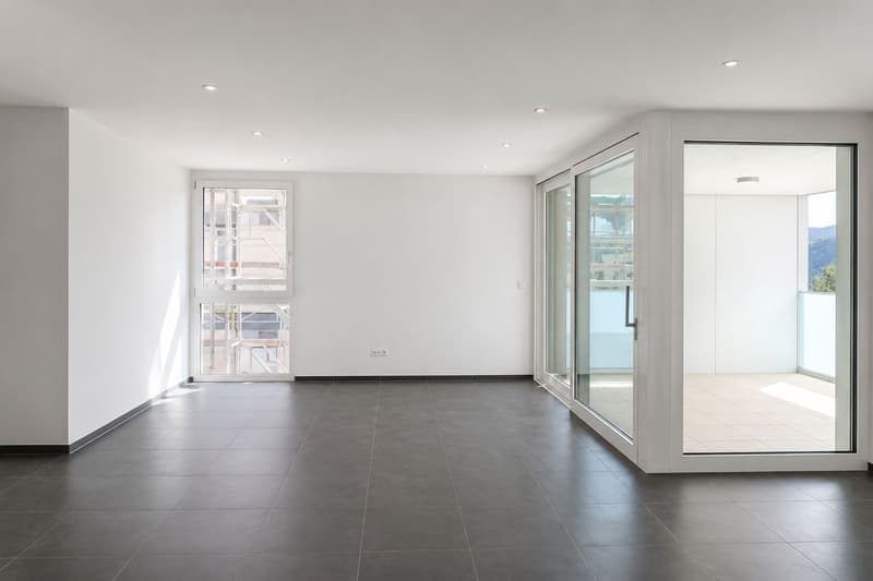 Spacieux appartement de 4.5 pièces avec grande terrasse (2)