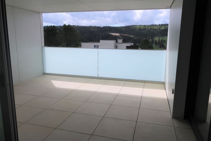 Spacieux appartement de 4.5 pièces avec grande terrasse (5)