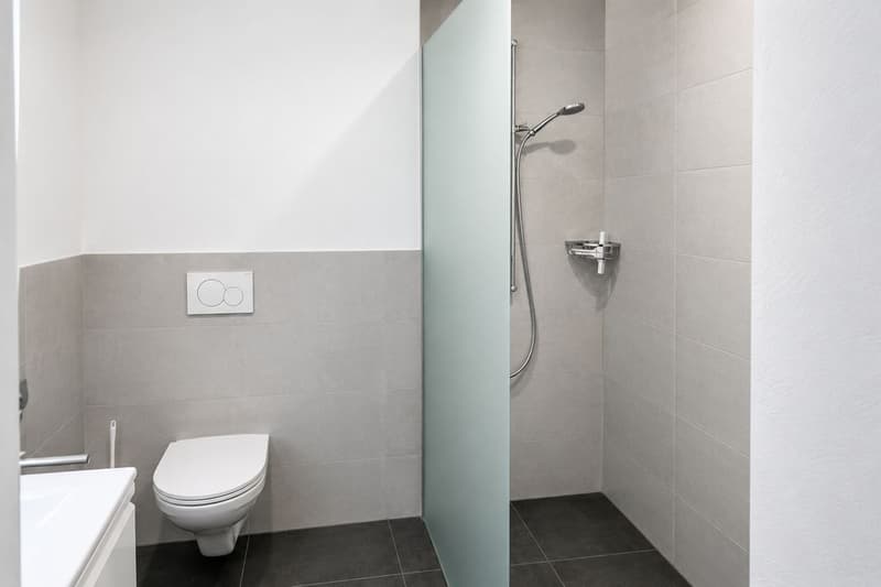 Spacieux appartement de 4.5 pièces avec grande terrasse (3)