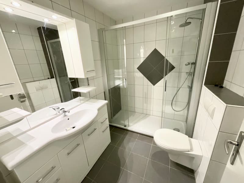 Appartement lumineux de 3 pièces au centre du village (6)