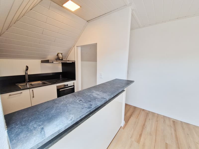 Charmant appartement mansardé de 2,5 pièces (3)