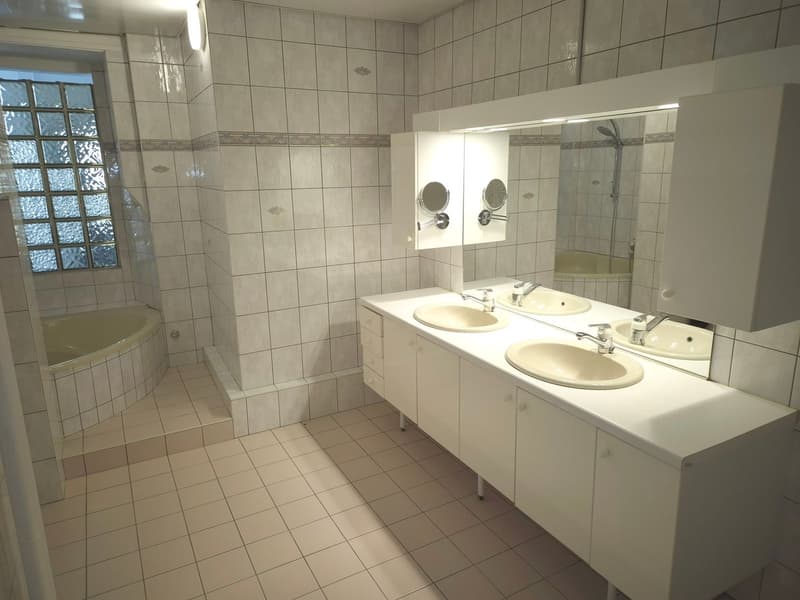 Très grand appartement de 7.5 pièces (11)