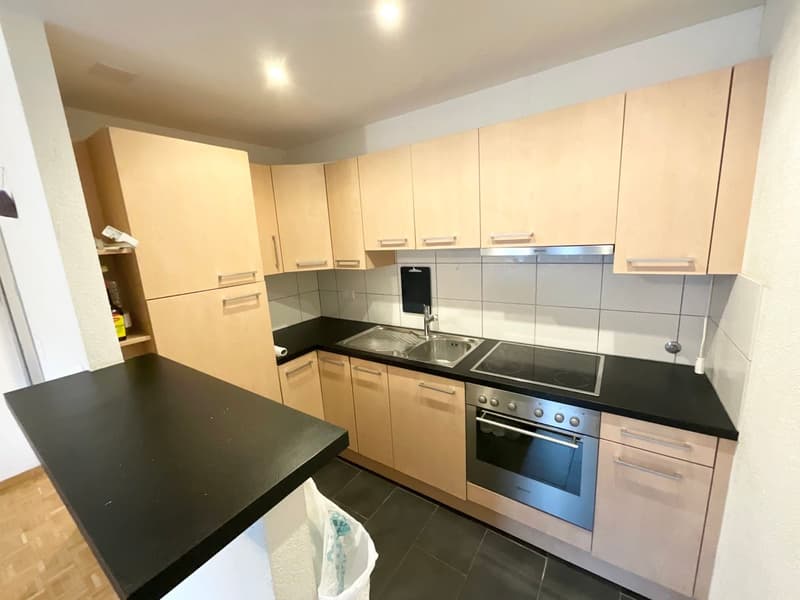Appartement lumineux de 2 pièces (1)