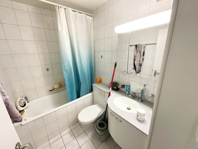 Appartement lumineux de 2 pièces (4)