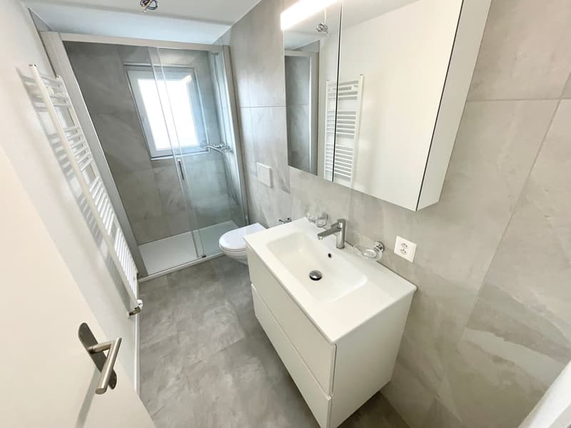 Appartement rénové de 3 pièces avec terrasse privée (8)