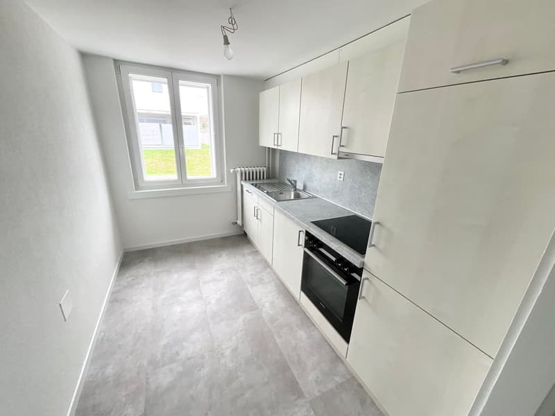 Appartement rénové de 3 pièces avec terrasse privée (2)