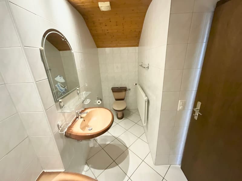 Appartement lumineux au rez-de-chaussée - beaux volumes et espaces polyvalents (8)