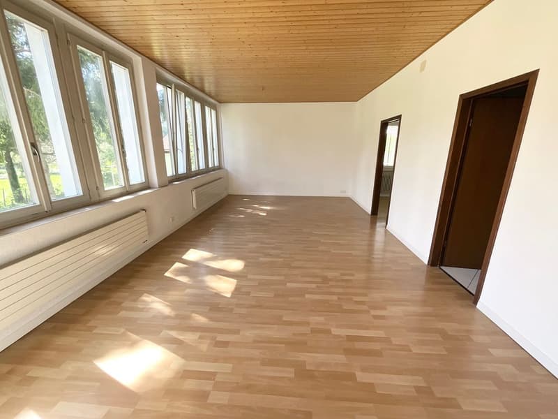 Appartement lumineux au rez-de-chaussée - beaux volumes et espaces polyvalents (5)