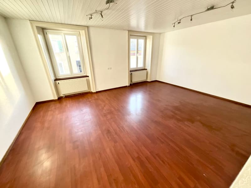 Appartement 3 pièces lumineux (6)