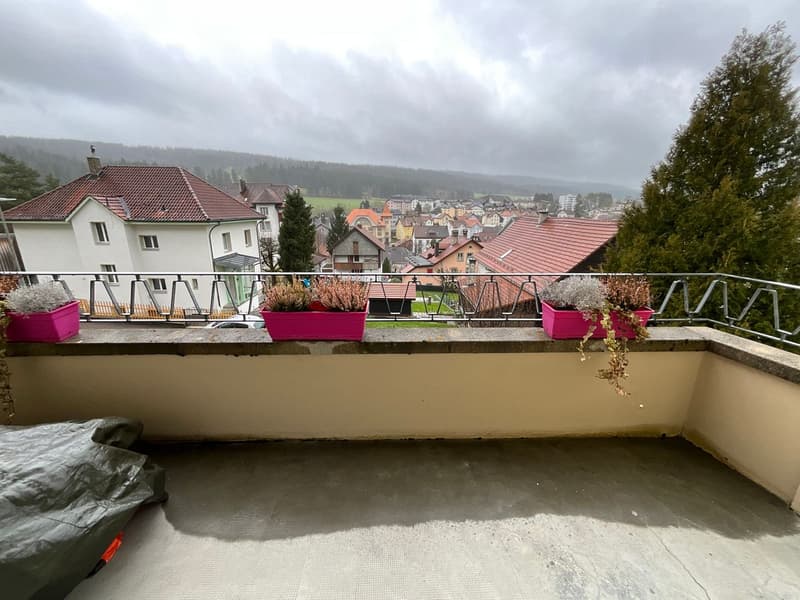 Appartement 3,5 pièces de 80 m² avec balcon (9)