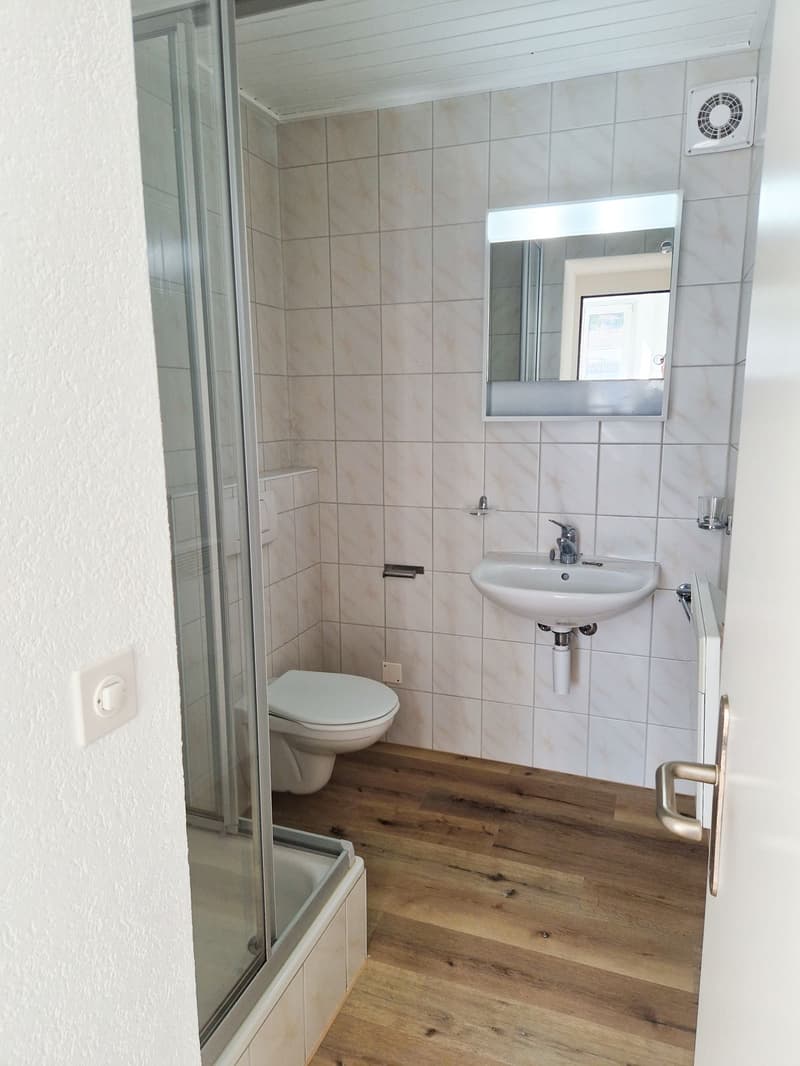 Appartement 2,5 pièces avec cuisine neuve (3)