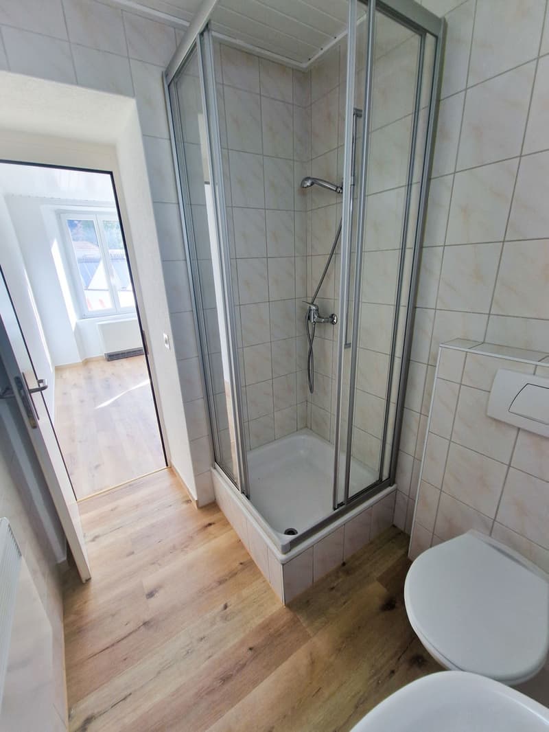 Appartement 2,5 pièces avec cuisine neuve (4)