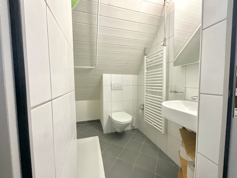 Charmant appartement de 3 pièces (7)