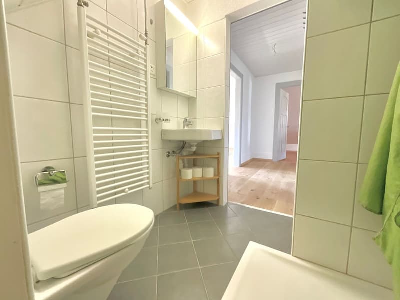 Charmant appartement de 3 pièces (6)